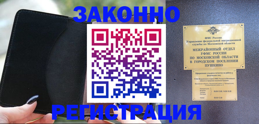 прописка поиск в Курске